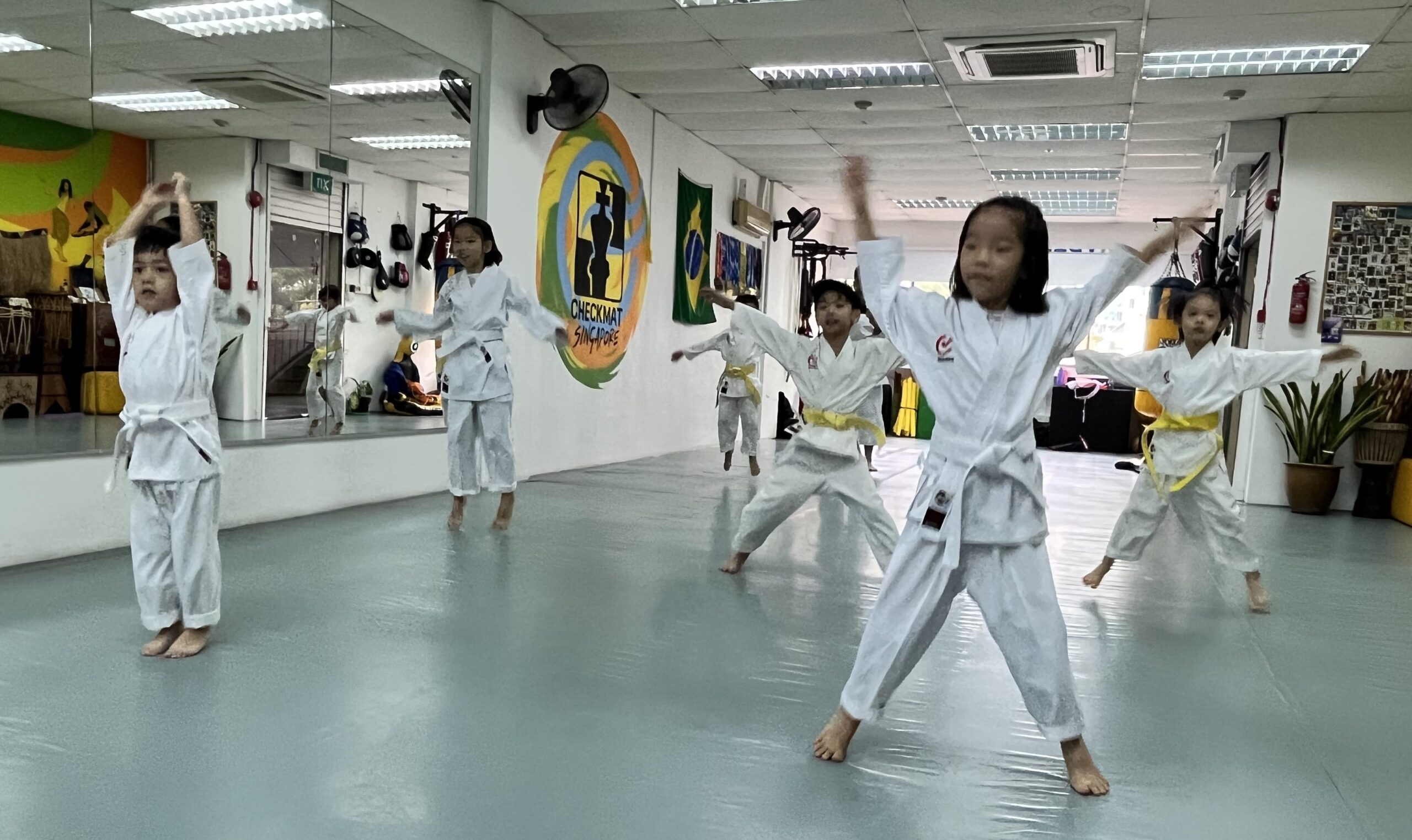 The Karate Academy Kyu Grading 2 Scaled 