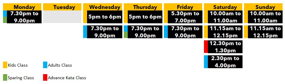 The Karate Academy Class Schedule 1st August 2025