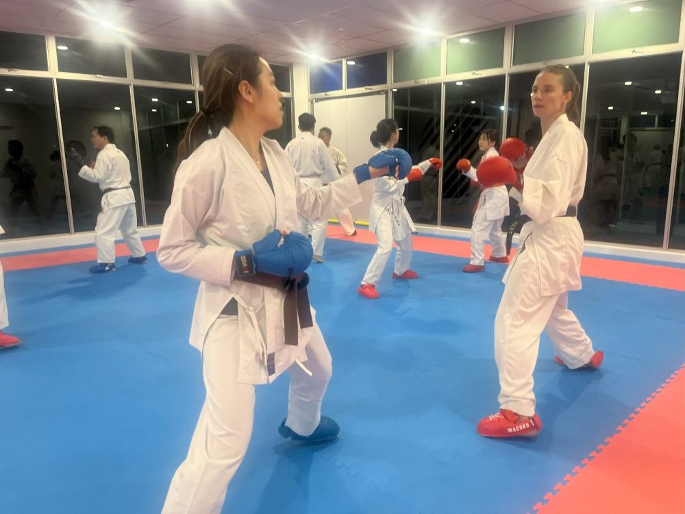 The Karate Academy Adult Class