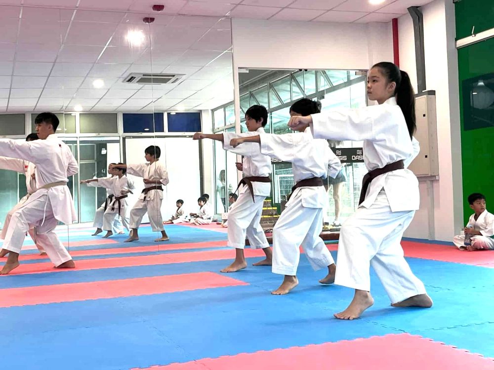 Brown Bely in action during The Karate Academy Grading