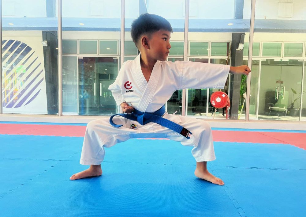 The Karate Academy Children Karate Class