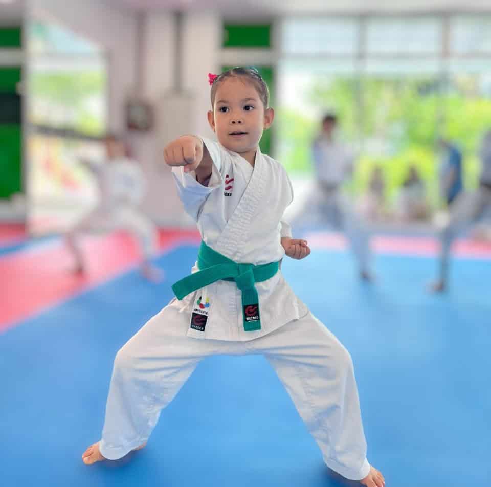 The Karate Academy Children Karate Class