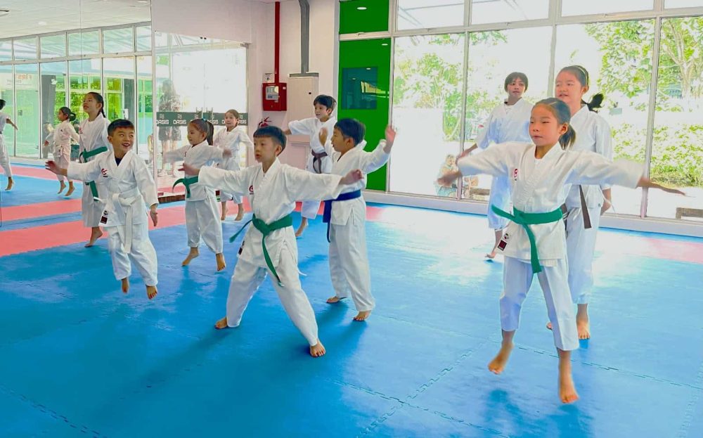 The Karate Academy Children Karate Class Exercise