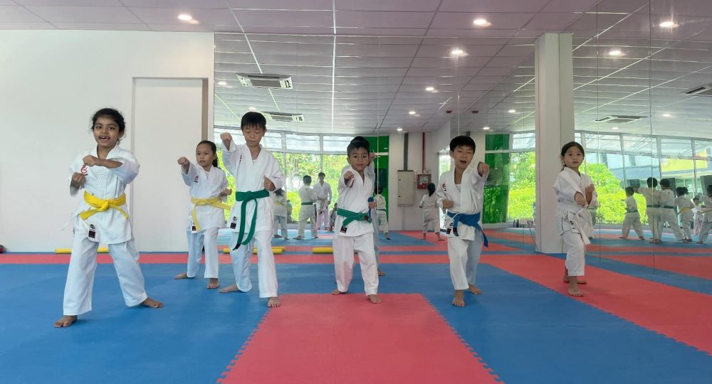 The Karate Academy Children Karate Class