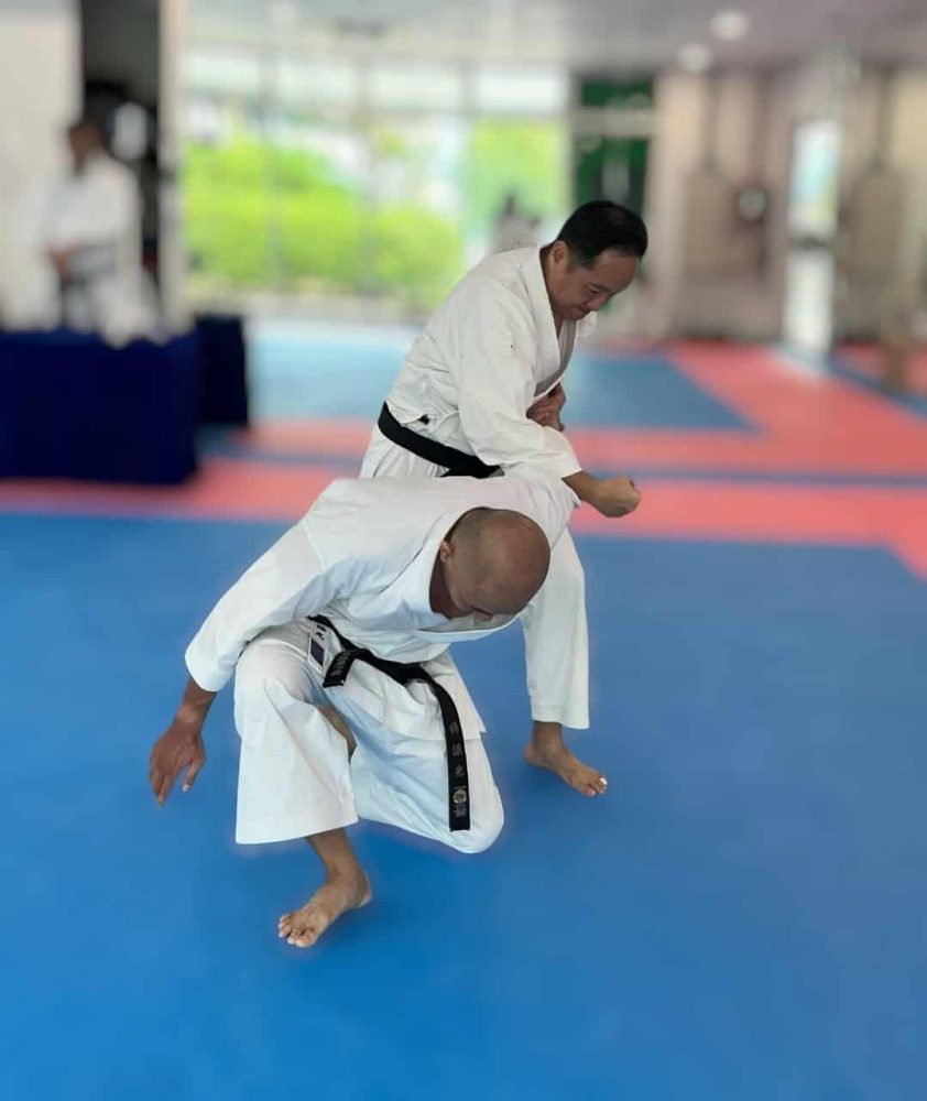 Dan Grading at The Karate Academy – Aaron perform bunkai