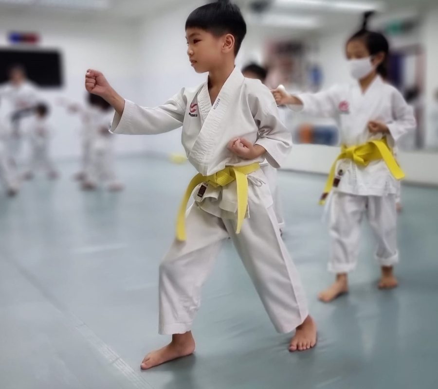 Kids Karate Class - The Karate Academy