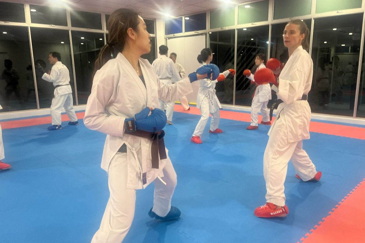 The Karate Academy Adult Class
